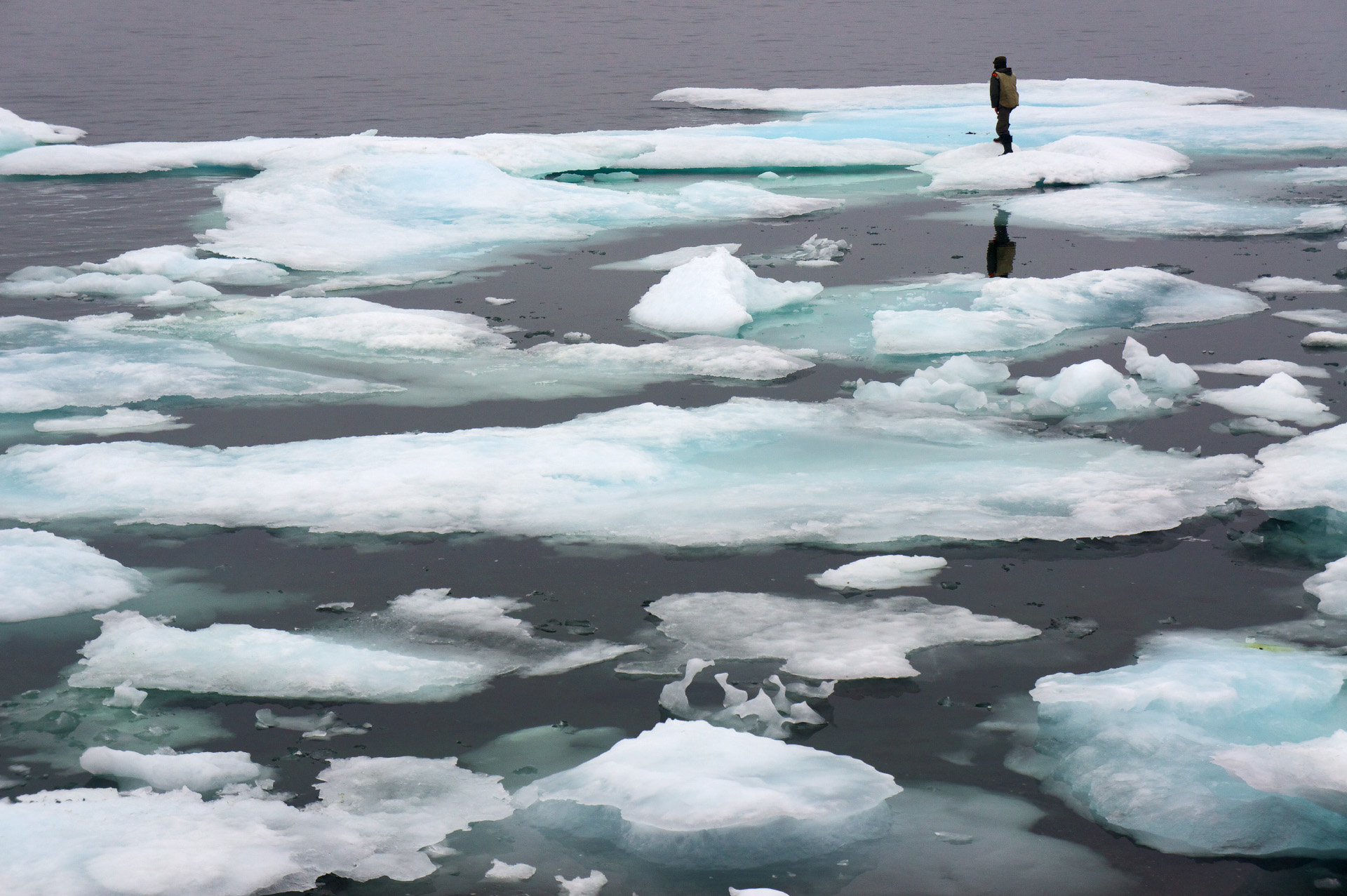 Летние льды в Арктике